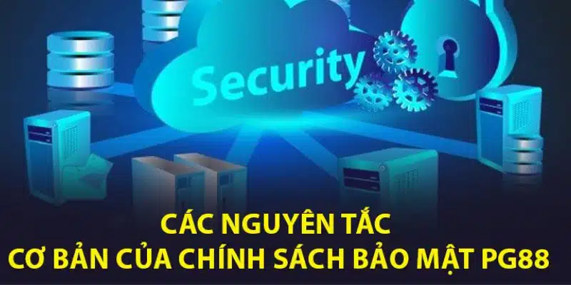 Nguyên tắc quy định rõ ràng trong chính sách bảo mật