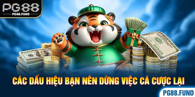 Các dấu hiệu bạn nên dừng việc cá cược lại